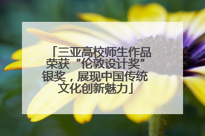三亚高校师生作品荣获“伦敦设计奖”银奖，展现中国传统文化创新魅力