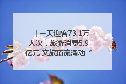 三天迎客73.1万人次，旅游消费5.9亿元 文旅顶流涌动“江宁style”