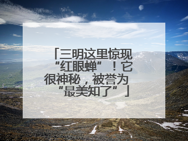 三明这里惊现“红眼蝉”！它很神秘，被誉为“最美知了”