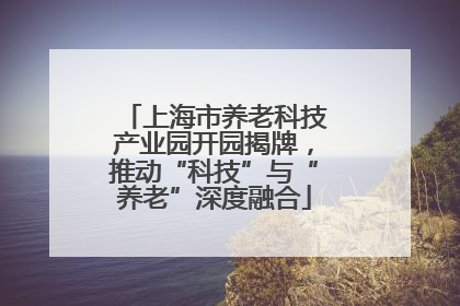 上海市养老科技产业园开园揭牌，推动“科技”与“养老”深度融合