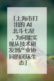 上海市打出的 AI 北斗七星，为何能实现从技术研发到产业协同的闭环生态