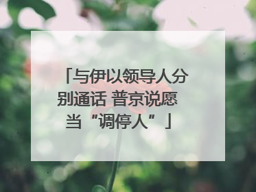 与伊以领导人分别通话 普京说愿当“调停人”