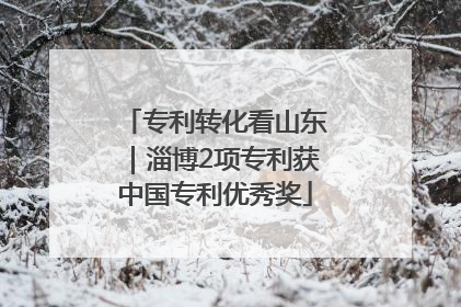 专利转化看山东｜淄博2项专利获中国专利优秀奖