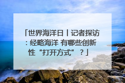 世界海洋日丨记者探访：经略海洋 有哪些创新性“打开方式”？
