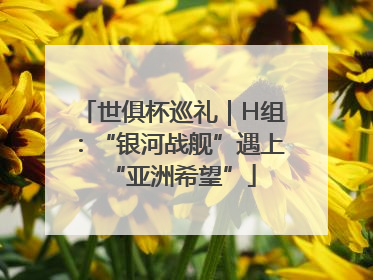 世俱杯巡礼｜H组：“银河战舰”遇上“亚洲希望”