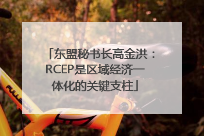 东盟秘书长高金洪：RCEP是区域经济一体化的关键支柱