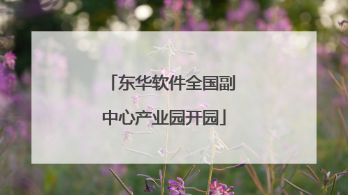 东华软件全国副中心产业园开园
