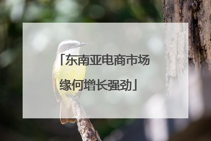 东南亚电商市场缘何增长强劲