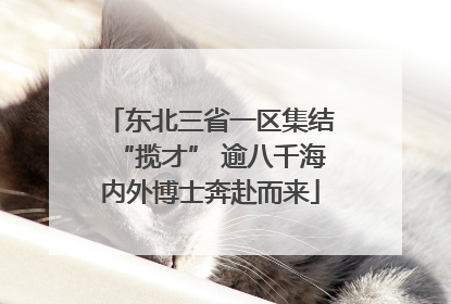 东北三省一区集结“揽才” 逾八千海内外博士奔赴而来