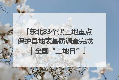 东北83个黑土地重点保护县地表基质调查完成｜全国“土地日”