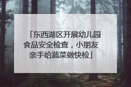 东西湖区开展幼儿园食品安全检查，小朋友亲手给蔬菜做快检