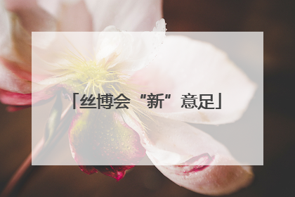 丝博会“新”意足