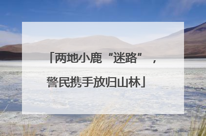 两地小鹿“迷路”，警民携手放归山林