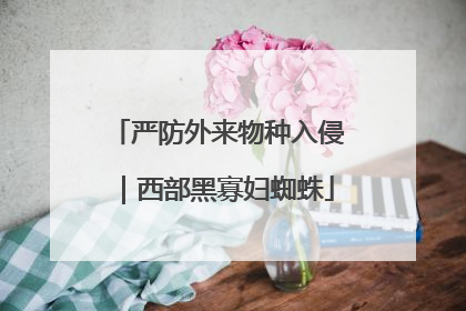 严防外来物种入侵｜西部黑寡妇蜘蛛