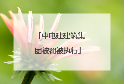 中电建建筑集团被罚被执行