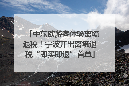 中东欧游客体验离境退税！宁波开出离境退税“即买即退”首单