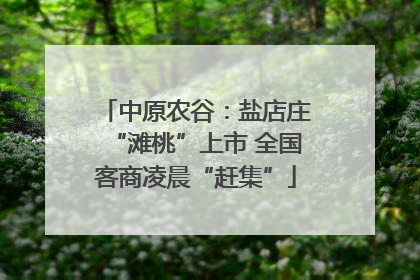中原农谷：盐店庄“滩桃”上市 全国客商凌晨“赶集”