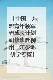 中国—东盟青年领军者成长计划研修班赴柳州三江多地研学考察