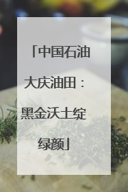 中国石油大庆油田：黑金沃土绽绿颜