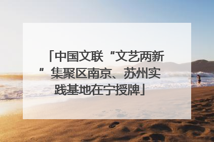 中国文联“文艺两新”集聚区南京、苏州实践基地在宁授牌