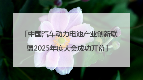 中国汽车动力电池产业创新联盟2025年度大会成功开幕