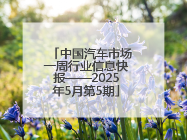 中国汽车市场一周行业信息快报——2025年5月第5期
