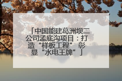 中国能建葛洲坝二公司孟底沟项目：打造“样板工程” 彰显“水电王牌”