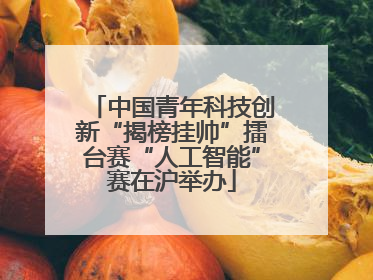 中国青年科技创新“揭榜挂帅”擂台赛“人工智能”赛在沪举办