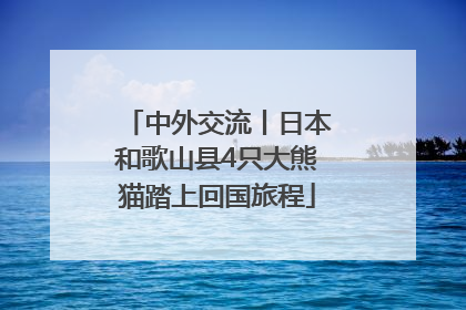 中外交流丨日本和歌山县4只大熊猫踏上回国旅程