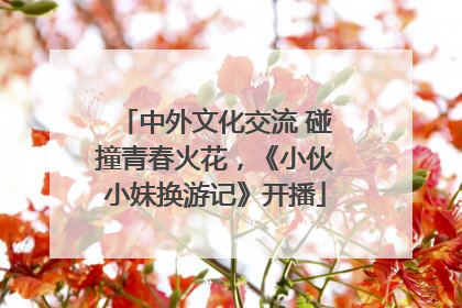 中外文化交流 碰撞青春火花，《小伙小妹换游记》开播