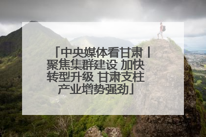 中央媒体看甘肃丨聚焦集群建设 加快转型升级 甘肃支柱产业增势强劲