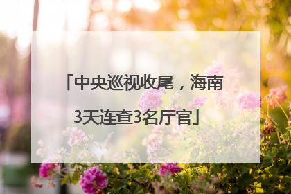 中央巡视收尾，海南3天连查3名厅官