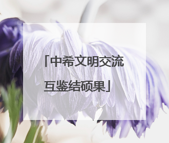 中希文明交流互鉴结硕果