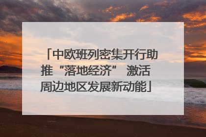中欧班列密集开行助推“落地经济” 激活周边地区发展新动能