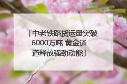 中老铁路货运量突破6000万吨 黄金通道释放强劲动能