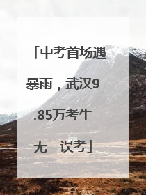中考首场遇暴雨，武汉9.85万考生无一误考