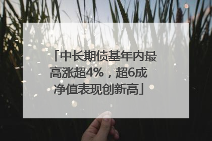 中长期债基年内最高涨超4%，超6成净值表现创新高