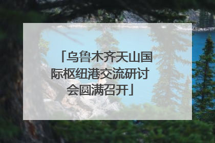 乌鲁木齐天山国际枢纽港交流研讨会圆满召开