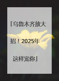 乌鲁木齐放大招！2025年这样宠你