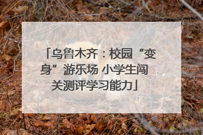 乌鲁木齐：校园“变身”游乐场 小学生闯关测评学习能力