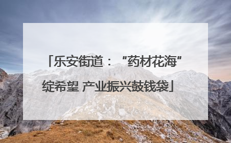 乐安街道：“药材花海”绽希望 产业振兴鼓钱袋