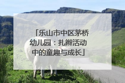 乐山市中区茅桥幼儿园：扎辫活动中的童趣与成长