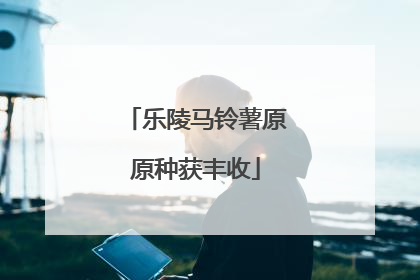 乐陵马铃薯原原种获丰收