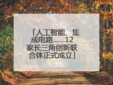 人工智能、集成电路……12家长三角创新联合体正式成立