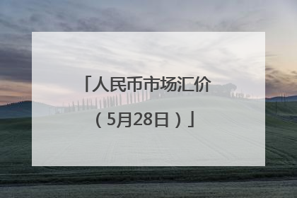 人民币市场汇价（5月28日）