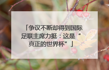 争议不断却得到国际足联主席力挺：这是“真正的世界杯”