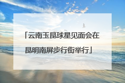 云南玉昆球星见面会在昆明南屏步行街举行