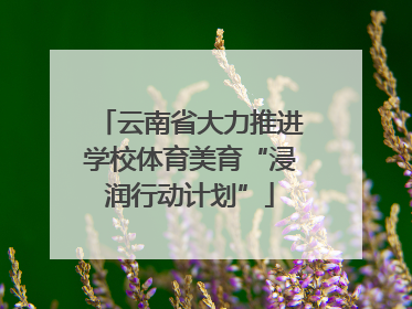 云南省大力推进学校体育美育“浸润行动计划”
