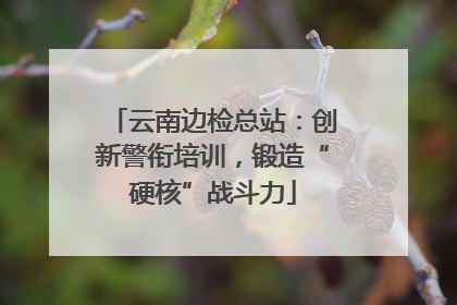 云南边检总站：创新警衔培训，锻造“硬核”战斗力