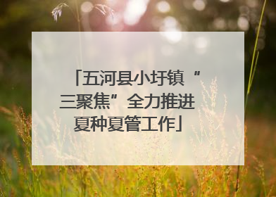 五河县小圩镇“三聚焦”全力推进夏种夏管工作